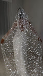 Star wedding veil worn over the face and held wide, every star lit by the flash, bride in a sheer-sleeve gown, Milky Way Veil