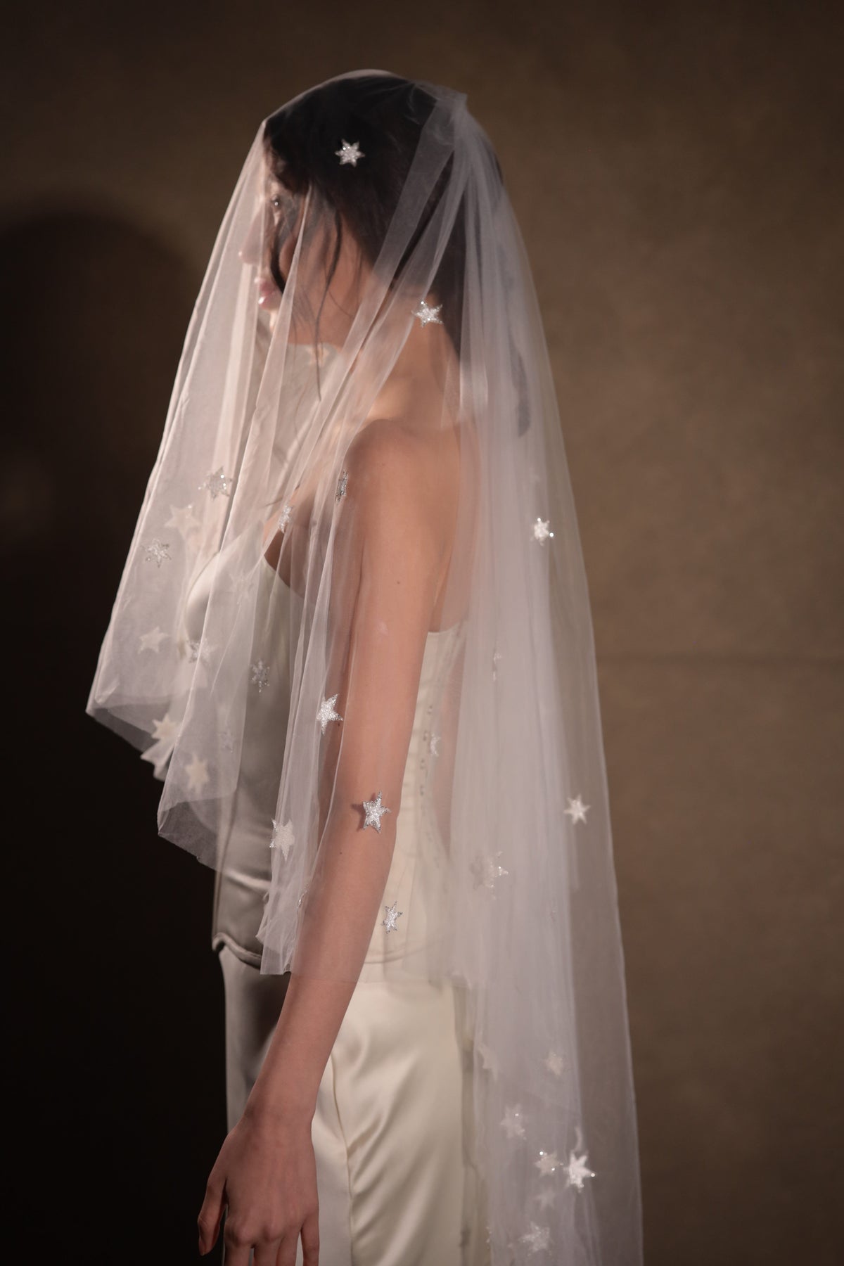 Profile of a bride under a two-tier star tulle wedding veil with blusher forward, stars catching the light, Celestial Glow Veil