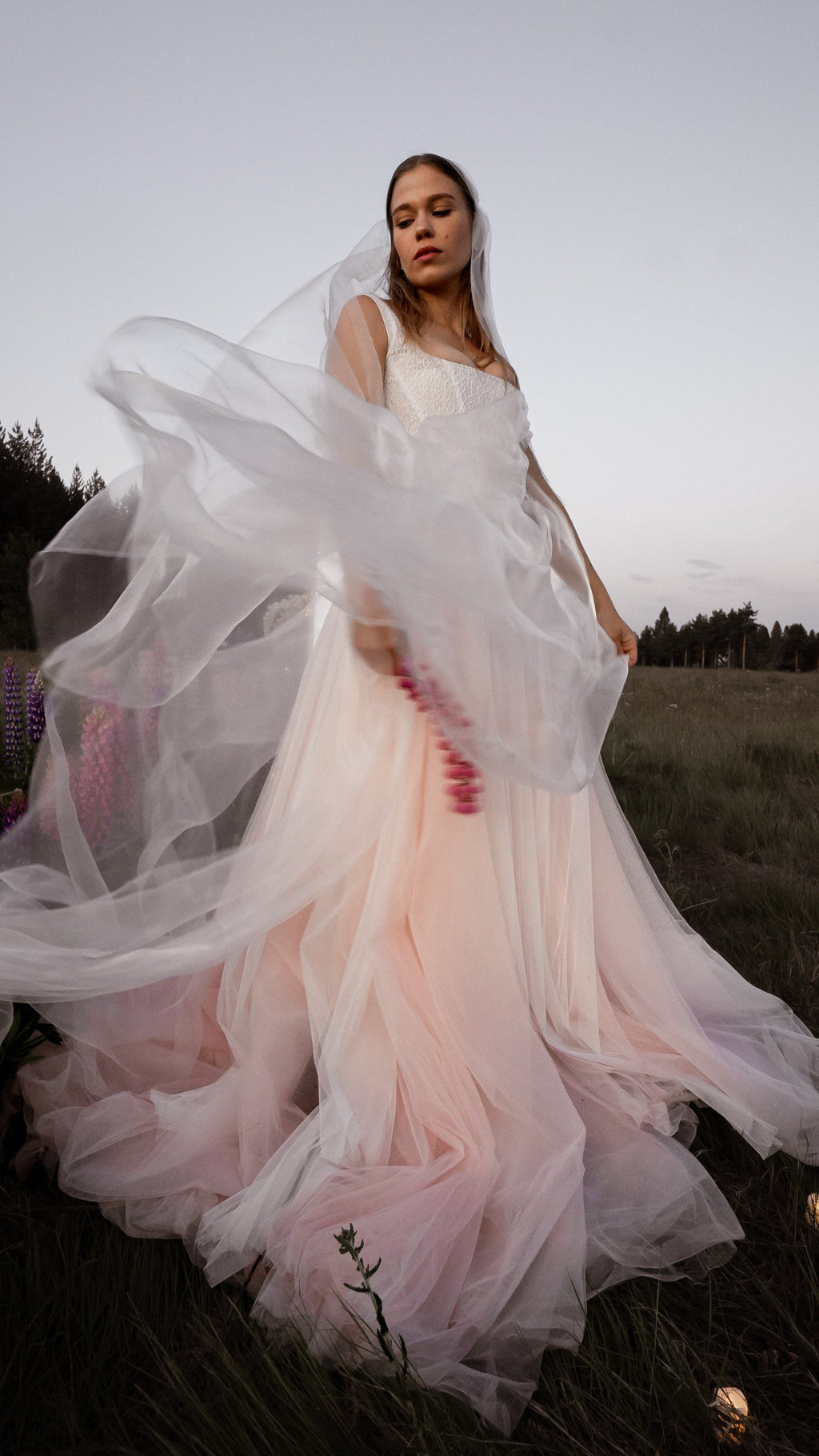 Bride in a blush pink tulle wedding dress lifting a sheer veil in the wind at dusk, lupines in the field behind, Chrysanthemum