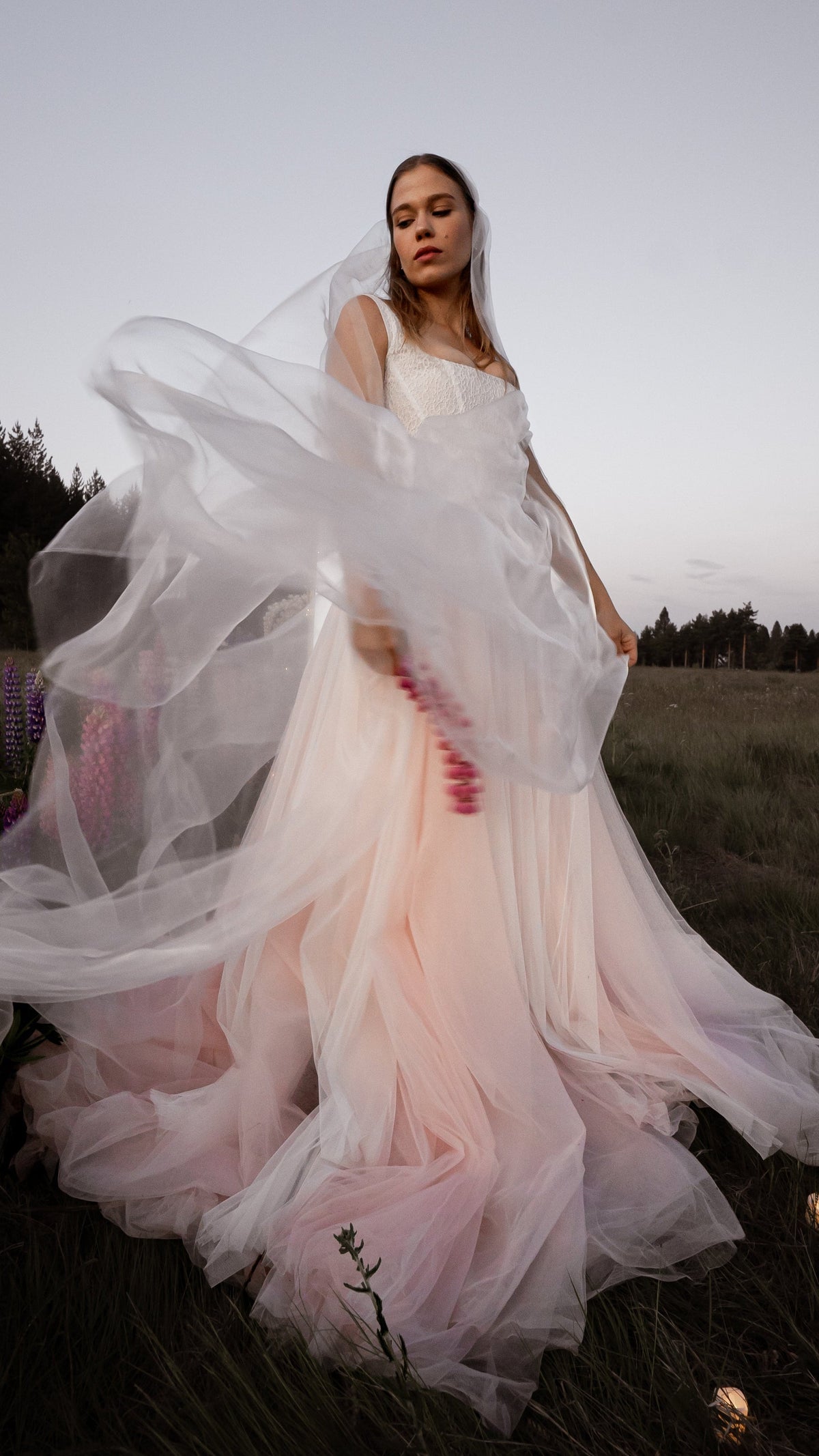 Bride in a blush pink tulle wedding dress lifting a sheer veil in the wind at dusk, lupines in the field behind, Chrysanthemum