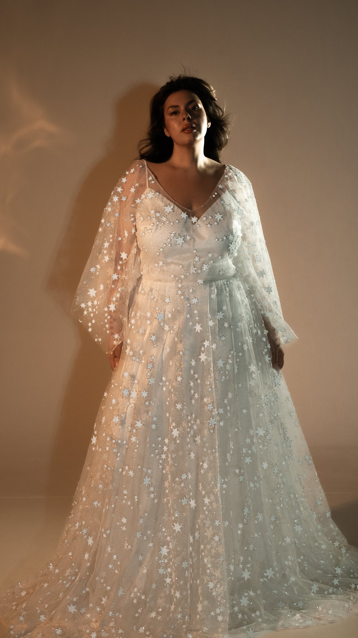Front view of a star lace wedding dress with a V-neck satin slip, long sheer sleeves and full skirt, warm studio light, Counting Stars 2.0