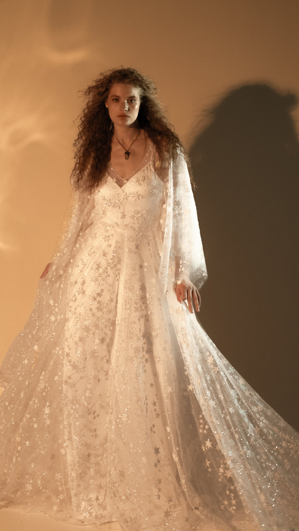 Bride facing the camera in a long sleeve star lace wedding dress, sheer skirt fanned out over a full train, Counting Stars 2.0