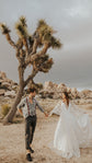 Couple holding hands by a Joshua tree, bride spreading the cape sleeves of a star lace wedding dress, Counting Stars