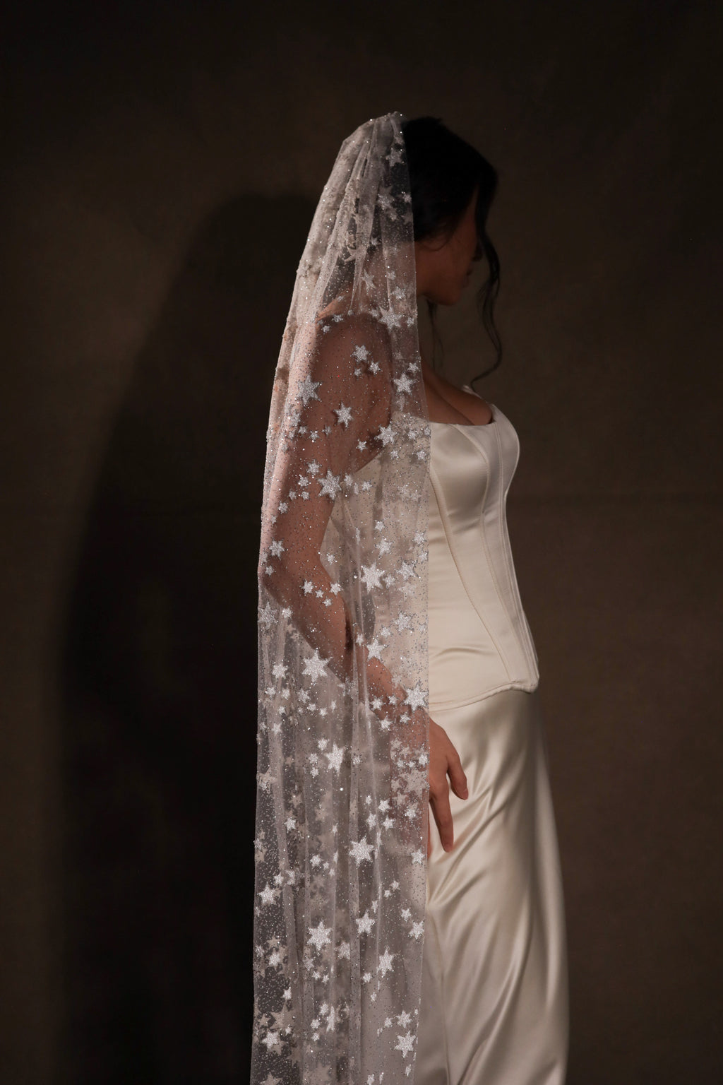 Bride in profile under a long star wedding veil draped over the head and shoulders, satin corset gown, Milky Way Veil