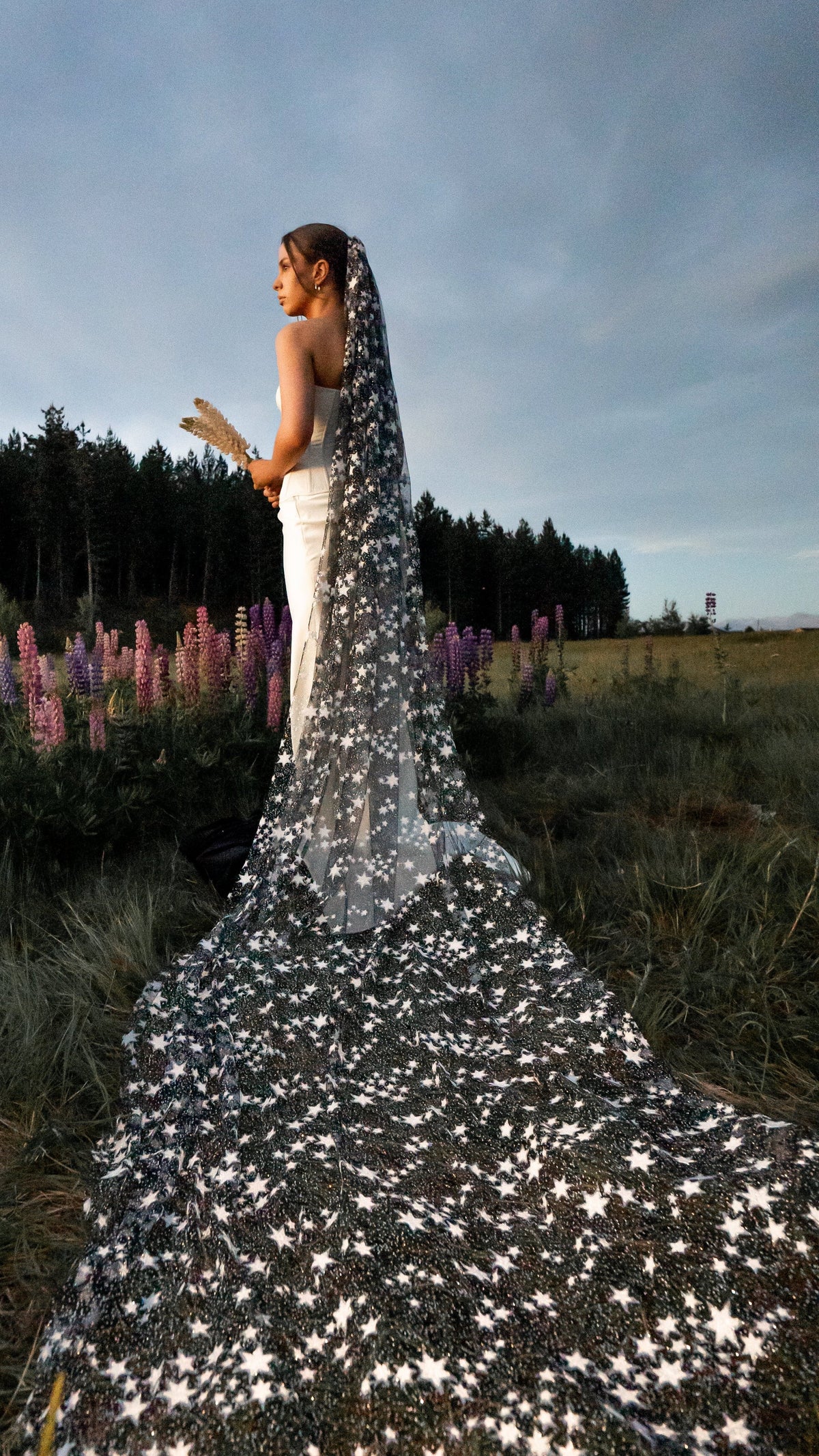 Black star wedding veil with a long train across a wildflower field of lupines, bride holding dried flowers, Milky Way Veil Black