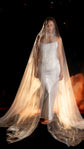 Floor-length sheer super organza veil covering a barefoot bride in a satin slip dress, lit warm from behind, Moonglade