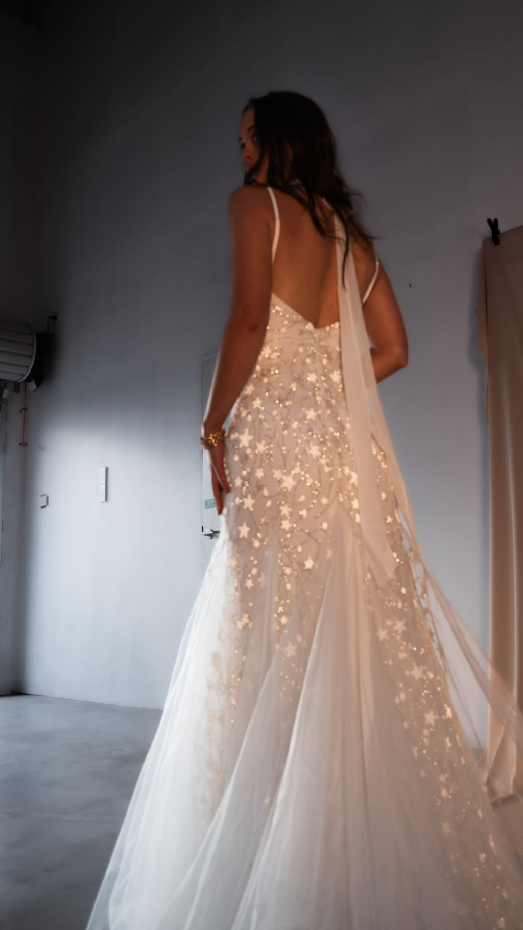 Back view of an open-back star wedding dress with a scarf tie trailing over the tulle train, plain studio, Supernova