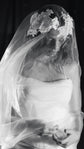 Black and white portrait of a bride looking down under a lace crown wedding veil, organza draped over her hands, mantilla veil, Vespera