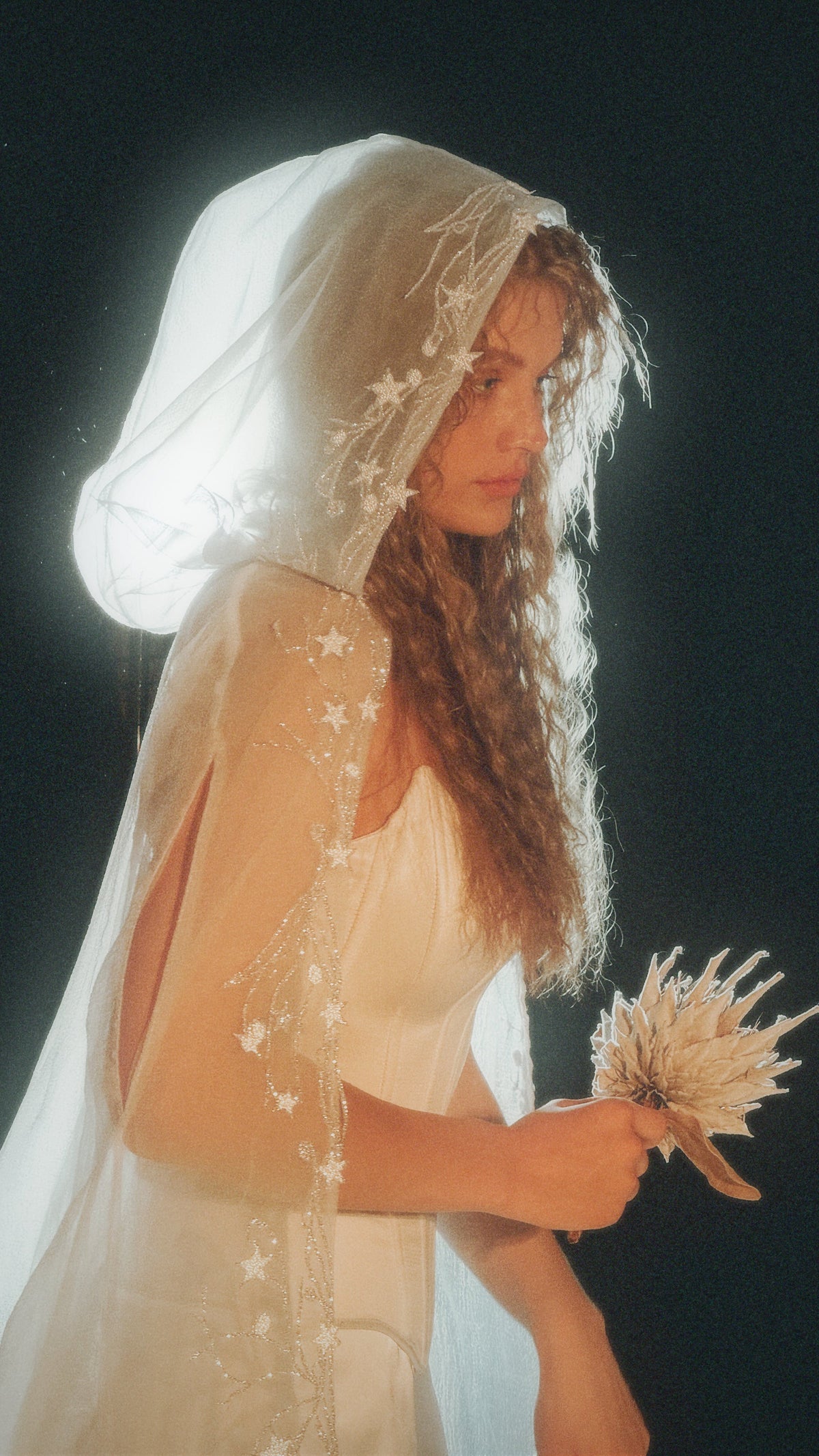 Backlit profile in a hooded bridal cape on black, arm opening edged in star lace, model holding dried flowers, Holly Cape